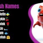 Gimkit Host: How to Host a Live Gimkit Game