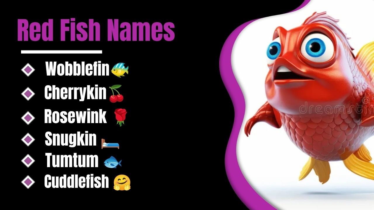 Gimkit Host: The Complete 2026 Guide to Hosting Live Games